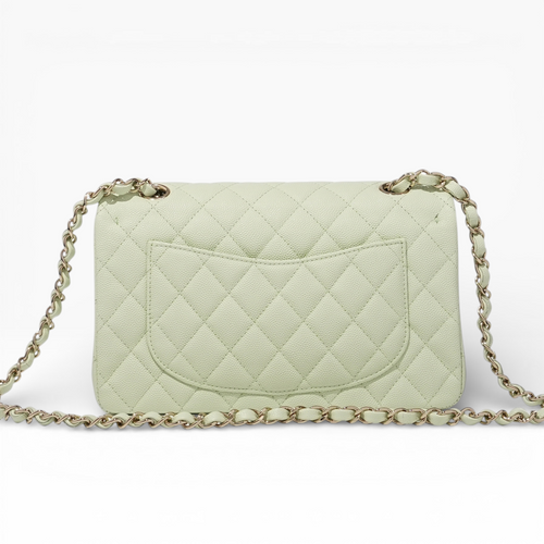 **Rare** New CHANEL Classic 10” - Pistachio Champagne Gold Hardware (Microchip)